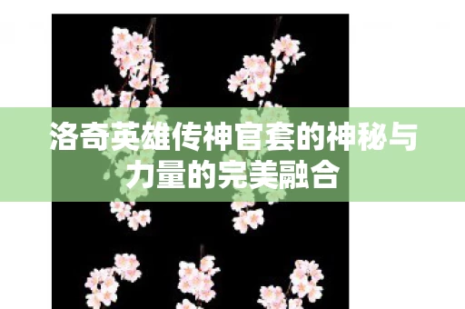 洛奇英雄传神官套的神秘与力量的完美融合图片