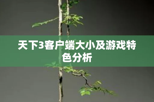 天下3客户端大小及游戏特色分析图片