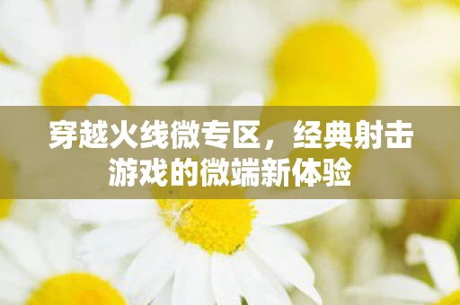 经典射击游戏的微端新体验图片