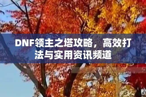 高效打法与实用资讯频道图片