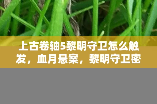 上古卷轴5黎明守卫怎么触发，血月悬案，黎明守卫密室惊现千年尸骸，线索直指2027年未解之谜