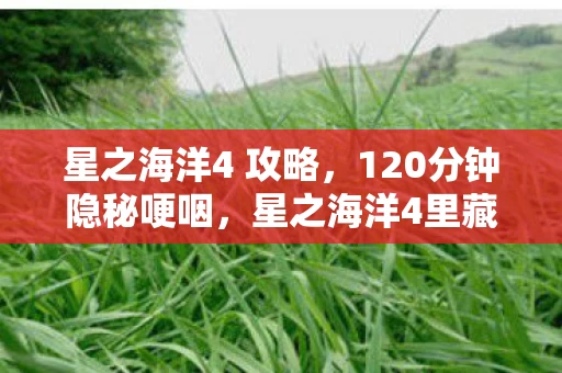 星之海洋4 攻略，120分钟隐秘哽咽，星之海洋4里藏着我的整个青春