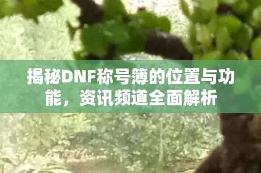 揭秘DNF称号簿的位置与功能图片