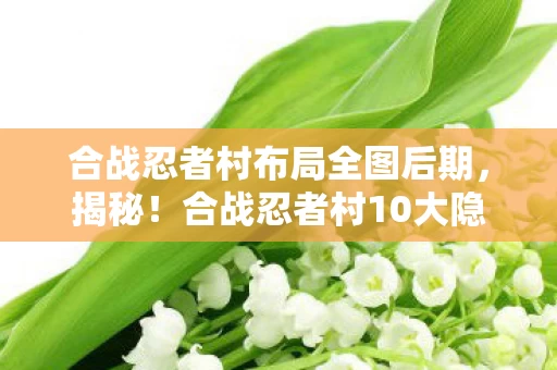 合战忍者村布局全图后期,揭秘!合战忍者村10大隐藏布局,竟藏着让玩家泪目的真相? 合战忍者村布局全图后期,揭秘!合战忍者村10大隐藏布局,竟藏着让玩家泪目的真相?