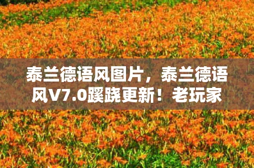 泰兰德语风图片,泰兰德语风V7.0蹊跷更新!老玩家惊呼,这还是我认识的它吗? 泰兰德语风图片,泰兰德语风V7.0蹊跷更新!老玩家惊呼,这还是我认识的它吗?