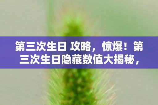 第三次生日 攻略,惊爆!第三次生日隐藏数值大揭秘,99%玩家不知的3大暗改机制 第三次生日 攻略,惊爆!第三次生日隐藏数值大揭秘,99%玩家不知的3大暗改机制