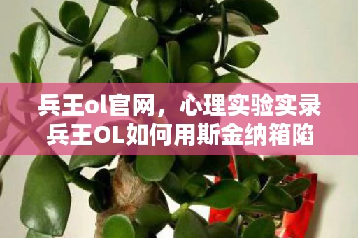 兵王ol官网,心理实验实录兵王OL如何用斯金纳箱陷阱让百万玩家沉迷?细思极恐的神经操控术 兵王ol官网,心理实验实录兵王OL如何用斯金纳箱陷阱让百万玩家沉迷?细思极恐的神经操控术