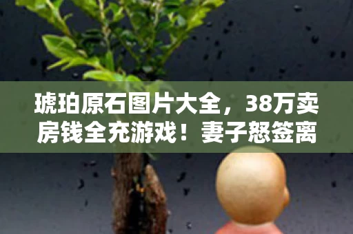 琥珀原石图片大全，38万卖房钱全充游戏！妻子怒签离婚协议，背后隐情让人吓一跳！
