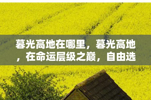 暮光高地在哪里，暮光高地，在命运层级之巅，自由选择竟是灵魂震颤的悖论囚笼？