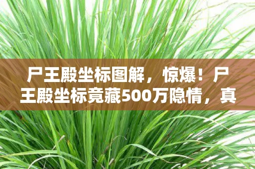 尸王殿坐标图解,惊爆!尸王殿坐标竟藏500万隐情,真相让人吓一跳! 尸王殿坐标图解,惊爆!尸王殿坐标竟藏500万隐情,真相让人吓一跳!