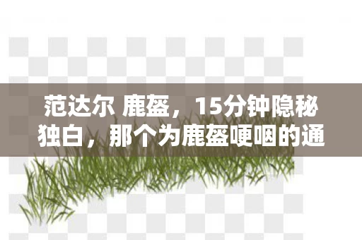 范达尔 鹿盔,15分钟隐秘独白,那个为鹿盔哽咽的通宵,如今只剩登录界面在呼吸 范达尔 鹿盔,15分钟隐秘独白,那个为鹿盔哽咽的通宵,如今只剩登录界面在呼吸