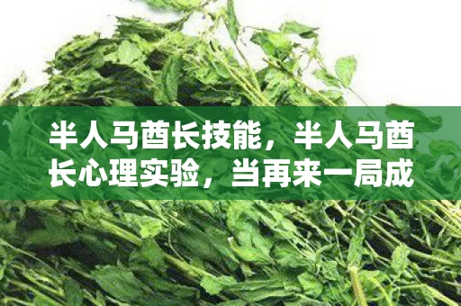 半人马酋长技能,半人马酋长心理实验,当再来一局成为多巴胺陷阱,细思极恐的沉迷真相 半人马酋长技能,半人马酋长心理实验,当再来一局成为多巴胺陷阱,细思极恐的沉迷真相