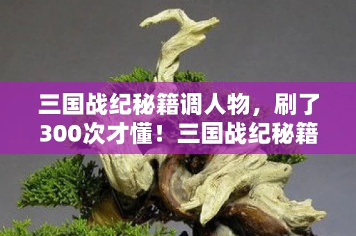 三国战纪秘籍调人物,刷了300次才懂!三国战纪秘籍蹊跷背后,真相让我后背发凉 三国战纪秘籍调人物,刷了300次才懂!三国战纪秘籍蹊跷背后,真相让我后背发凉