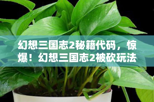幻想三国志2秘籍代码,惊爆!幻想三国志2被砍玩法竟值500万?隐情曝光让人吓一跳! 幻想三国志2秘籍代码,惊爆!幻想三国志2被砍玩法竟值500万?隐情曝光让人吓一跳!