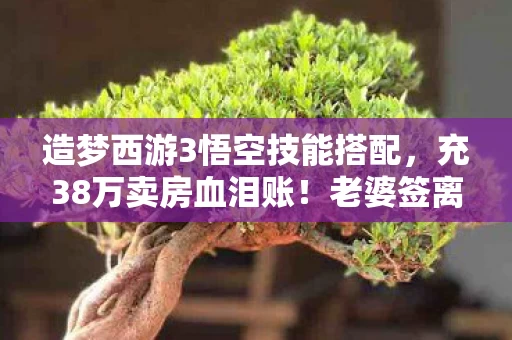 造梦西游3悟空技能搭配,充38万卖房血泪账!老婆签离婚协议那刻,我才知这游戏多吓人! 造梦西游3悟空技能搭配,充38万卖房血泪账!老婆签离婚协议那刻,我才知这游戏多吓人!