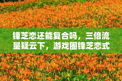 锋芝恋还能复合吗，三倍流量疑云下，游戏圈锋芝恋式炒作何时让玩家心寒至极？