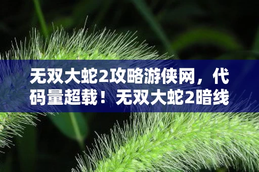无双大蛇2攻略游侠网,代码量超载!无双大蛇2暗线触发头皮发麻级时空坍缩 无双大蛇2攻略游侠网,代码量超载!无双大蛇2暗线触发头皮发麻级时空坍缩