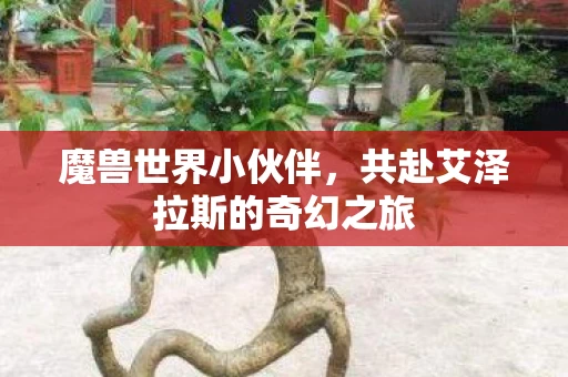 共赴艾泽拉斯的奇幻之旅图片