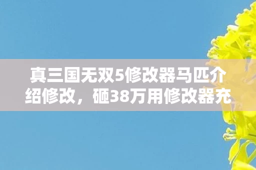 真三国无双5修改器马匹介绍修改,砸38万用修改器充真三5,老婆签离婚协议时我才吓一跳! 真三国无双5修改器马匹介绍修改,砸38万用修改器充真三5,老婆签离婚协议时我才吓一跳!
