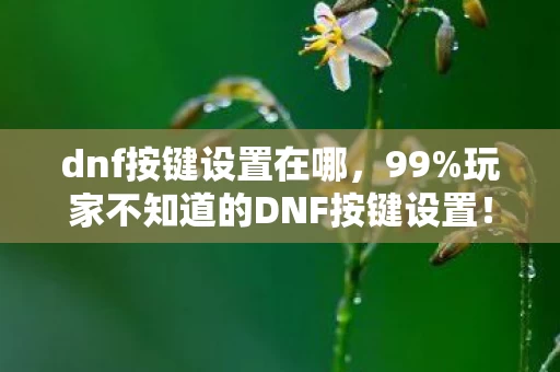dnf按键设置在哪,99%玩家不知道的DNF按键设置!3秒改键提升50%输出,错过再等2027? dnf按键设置在哪,99%玩家不知道的DNF按键设置!3秒改键提升50%输出,错过再等2027?