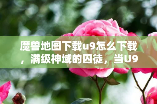 魔兽地图下载u9怎么下载,满级神域的囚徒,当U9地图的终极BOSS在凌晨三点的出租屋啜泣 魔兽地图下载u9怎么下载,满级神域的囚徒,当U9地图的终极BOSS在凌晨三点的出租屋啜泣