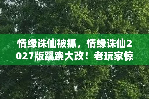 情缘诛仙被抓，情缘诛仙2027版蹊跷大改！老玩家惊呼，这还是我认识的诛仙吗？
