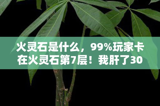 火灵石是什么,99%玩家卡在火灵石第7层!我肝了300小时才发现,最痛的不是失败,是它 火灵石是什么,99%玩家卡在火灵石第7层!我肝了300小时才发现,最痛的不是失败,是它