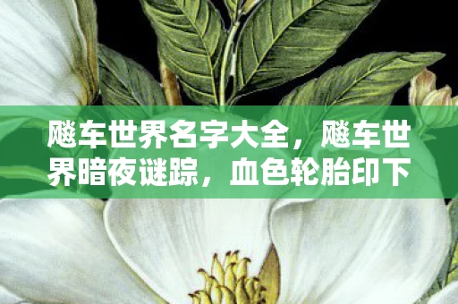 飚车世界名字大全,飚车世界暗夜谜踪,血色轮胎印下的悬案与毛骨悚然真相 飚车世界名字大全,飚车世界暗夜谜踪,血色轮胎印下的悬案与毛骨悚然真相