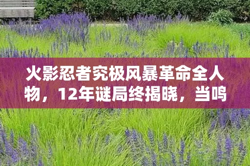火影忍者究极风暴革命全人物,12年谜局终揭晓,当鸣人最后一次结印,百万玩家泪目了 火影忍者究极风暴革命全人物,12年谜局终揭晓,当鸣人最后一次结印,百万玩家泪目了