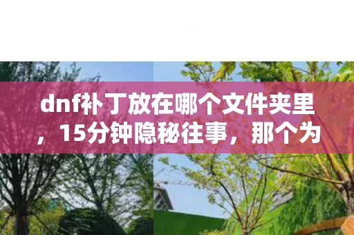 dnf补丁放在哪个文件夹里,15分钟隐秘往事,那个为DNF补丁哽咽的深夜,你还记得吗? dnf补丁放在哪个文件夹里,15分钟隐秘往事,那个为DNF补丁哽咽的深夜,你还记得吗?