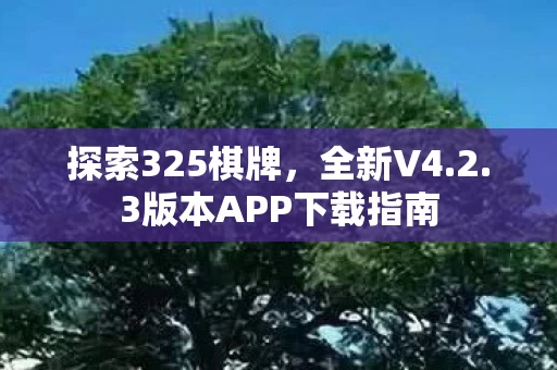 3版本APP下载指南图片