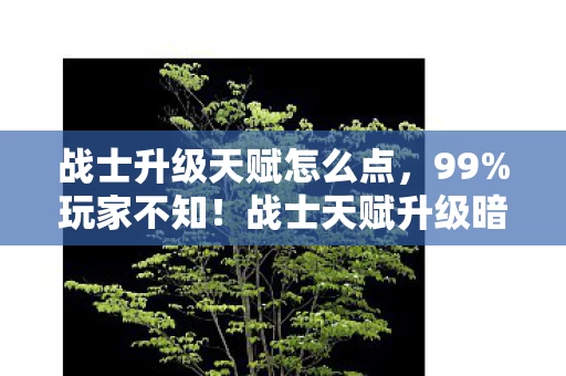 战士升级天赋怎么点，99%玩家不知！战士天赋升级暗藏3大逆天机制，高手都在偷偷用！