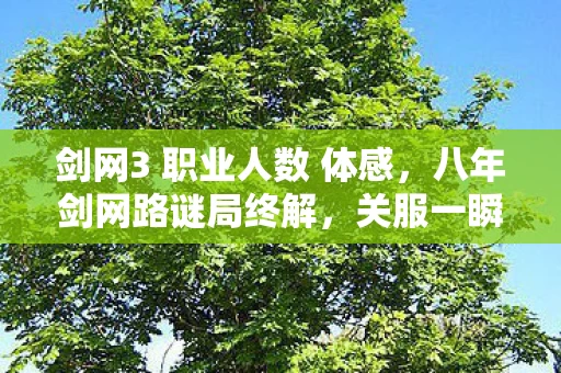 剑网3 职业人数 体感,八年剑网路谜局终解,关服一瞬泪目成殇 剑网3 职业人数 体感,八年剑网路谜局终解,关服一瞬泪目成殇