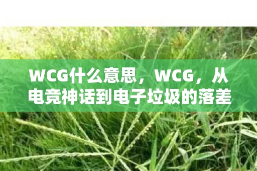 WCG什么意思,WCG,从电竞神话到电子垃圾的落差真相,笑着骂完又偷偷打开? WCG什么意思,WCG,从电竞神话到电子垃圾的落差真相,笑着骂完又偷偷打开?