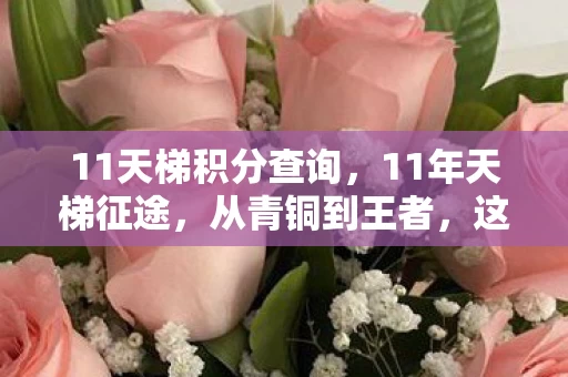 11天梯积分查询,11年天梯征途,从青铜到王者,这跨越时空的震撼真相你可知? 11天梯积分查询,11年天梯征途,从青铜到王者,这跨越时空的震撼真相你可知?