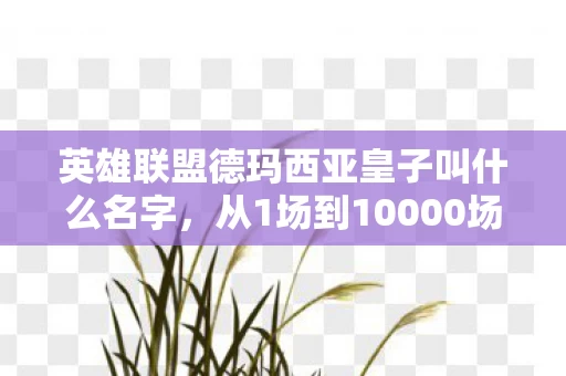 英雄联盟德玛西亚皇子叫什么名字,从1场到10000场!皇子玩家退坑3年,为何2027年又含泪回归? 英雄联盟德玛西亚皇子叫什么名字,从1场到10000场!皇子玩家退坑3年,为何2027年又含泪回归?