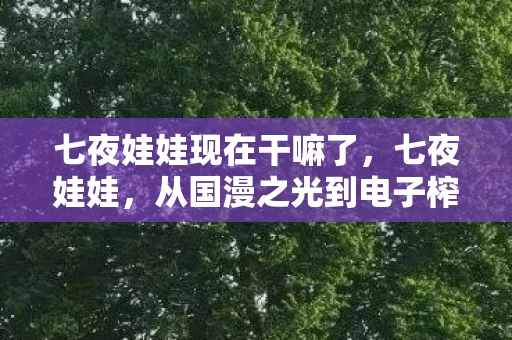 七夜娃娃现在干嘛了,七夜娃娃,从国漫之光到电子榨菜的落差真相,笑着笑着就哭了 七夜娃娃现在干嘛了,七夜娃娃,从国漫之光到电子榨菜的落差真相,笑着笑着就哭了