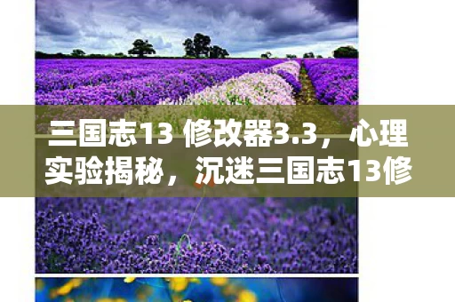 三国志13 修改器3.3,心理实验揭秘,沉迷三国志13修改器竟是场细思极恐的脑手术 三国志13 修改器3.3,心理实验揭秘,沉迷三国志13修改器竟是场细思极恐的脑手术