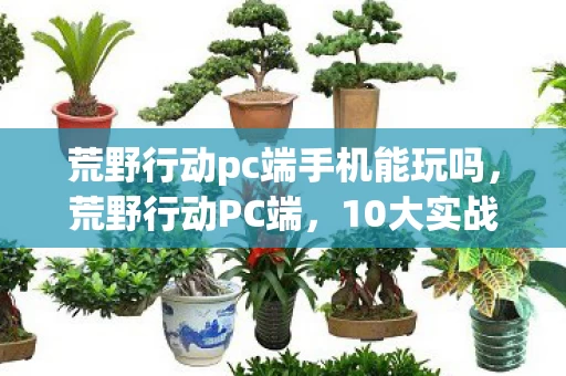 荒野行动pc端手机能玩吗，荒野行动PC端，10大实战心得+避坑指南，助你轻松吃鸡！