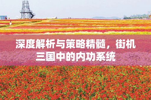 街机三国中的内功系统图片