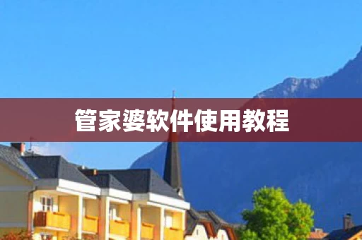 管家婆软件使用教程图片