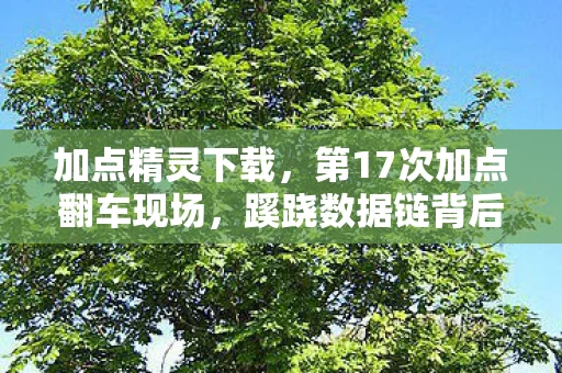 加点精灵下载,第17次加点翻车现场,蹊跷数据链背后,我后背发凉地看清了真相 加点精灵下载,第17次加点翻车现场,蹊跷数据链背后,我后背发凉地看清了真相