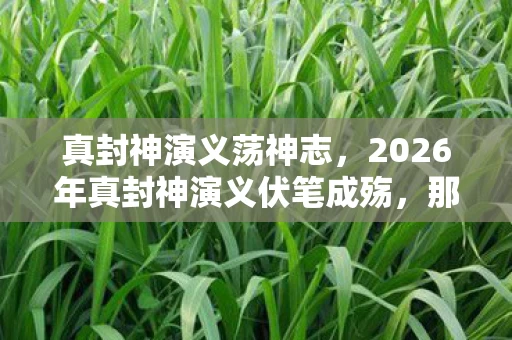 真封神演义荡神志,2026年真封神演义伏笔成殇,那些年说好相伴的人,让我鼻子一酸 真封神演义荡神志,2026年真封神演义伏笔成殇,那些年说好相伴的人,让我鼻子一酸