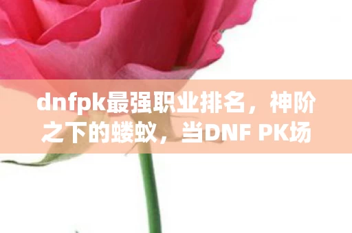 dnfpk最强职业排名,神阶之下的蝼蚁,当DNF PK场顶级职业成为困住灵魂的悖论牢笼 dnfpk最强职业排名,神阶之下的蝼蚁,当DNF PK场顶级职业成为困住灵魂的悖论牢笼