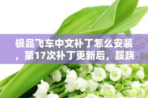 极品飞车中文补丁怎么安装,第17次补丁更新后,蹊跷事件频发,后背发凉的十年逃亡 极品飞车中文补丁怎么安装,第17次补丁更新后,蹊跷事件频发,后背发凉的十年逃亡