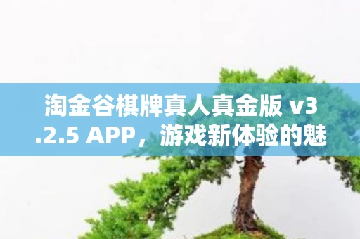 淘金谷棋牌真人真金版 v3图片
