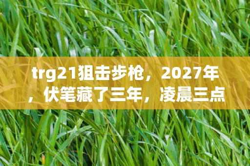 trg21狙击步枪，2027年，伏笔藏了三年，凌晨三点那句等你让我鼻子一酸