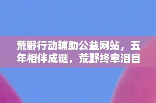 荒野行动辅助公益网站,五年相伴成谜,荒野终章泪目,辅助见证的兴衰之路 荒野行动辅助公益网站,五年相伴成谜,荒野终章泪目,辅助见证的兴衰之路