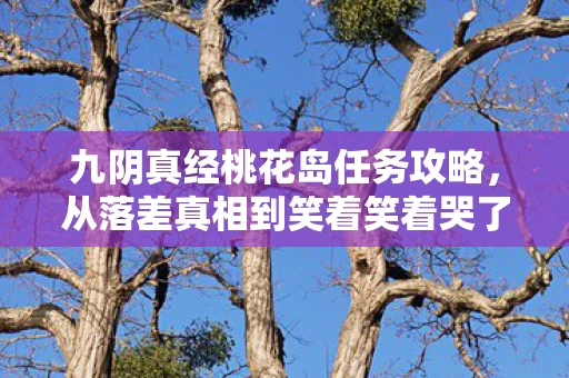 九阴真经桃花岛任务攻略,从落差真相到笑着笑着哭了,九阴桃花岛,我终究还是回来了 九阴真经桃花岛任务攻略,从落差真相到笑着笑着哭了,九阴桃花岛,我终究还是回来了