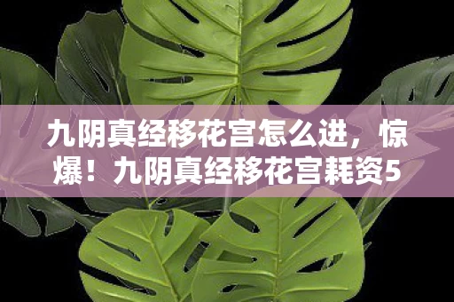 九阴真经移花宫怎么进,惊爆!九阴真经移花宫耗资500万玩法被砍,背后隐情让人吓一跳! 九阴真经移花宫怎么进,惊爆!九阴真经移花宫耗资500万玩法被砍,背后隐情让人吓一跳!